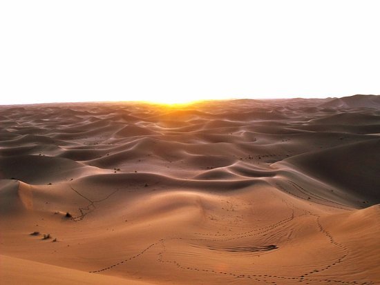 Expertos locales en Marruecos