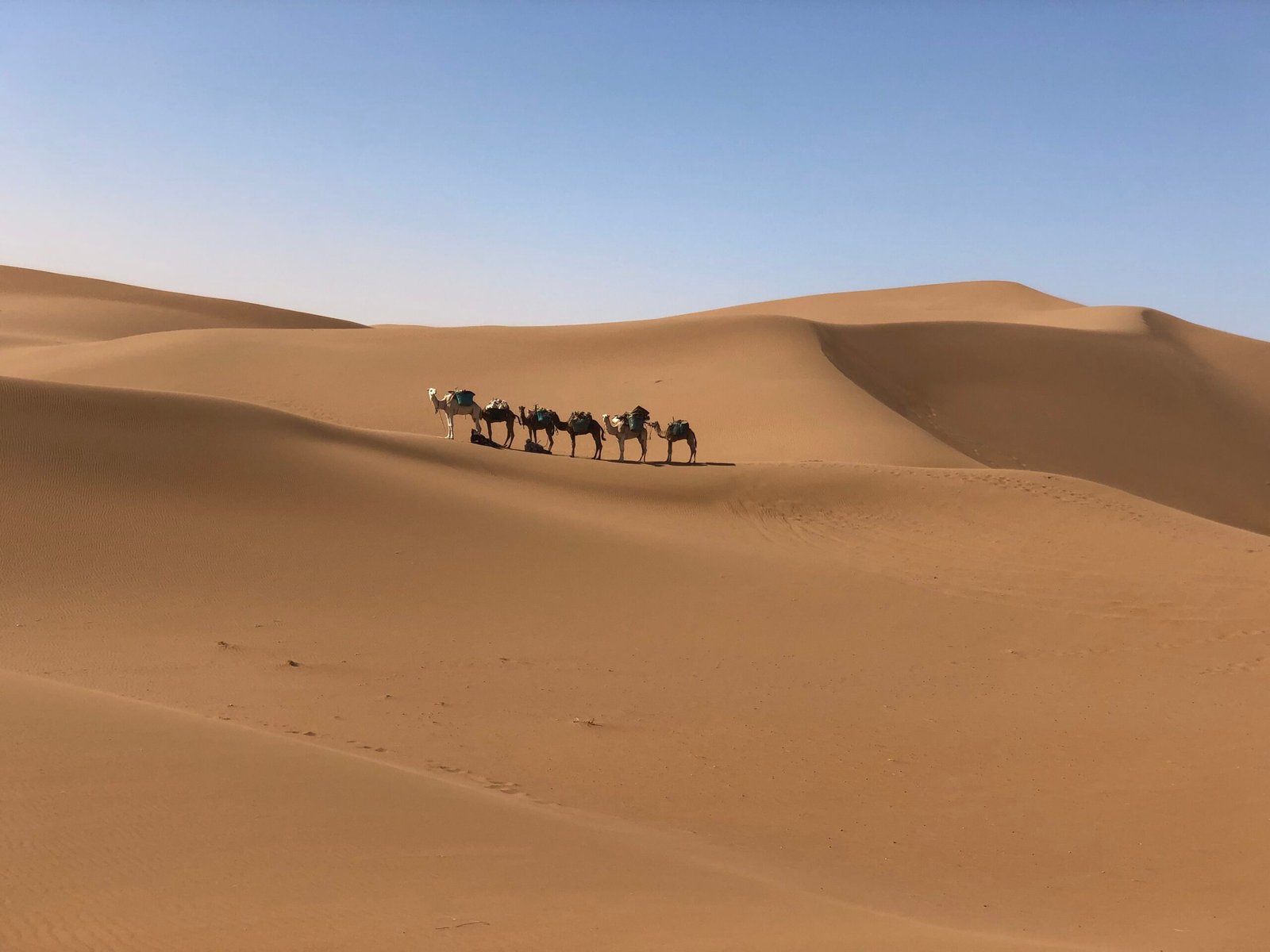 Dunas del desierto de Erg Chegaga