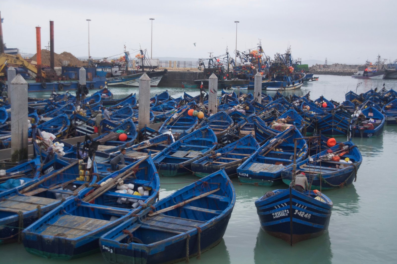 Medina y costa de Essaouira