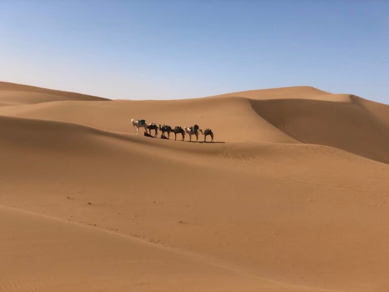 4 Días a Erg Chegaga desde Marrakech